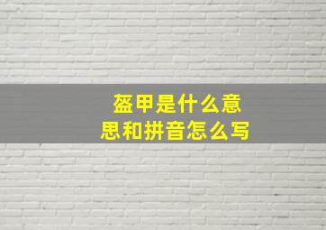 盔甲是什么意思和拼音怎么写