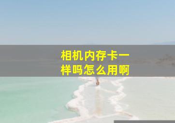 相机内存卡一样吗怎么用啊