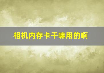 相机内存卡干嘛用的啊