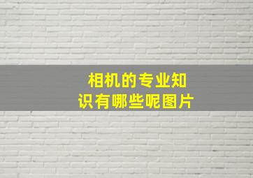 相机的专业知识有哪些呢图片