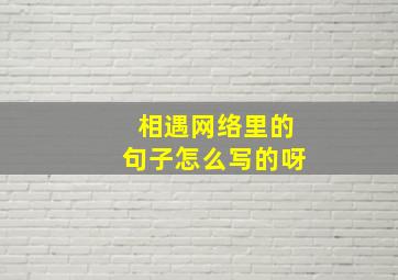 相遇网络里的句子怎么写的呀