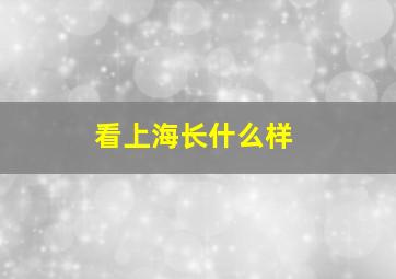 看上海长什么样