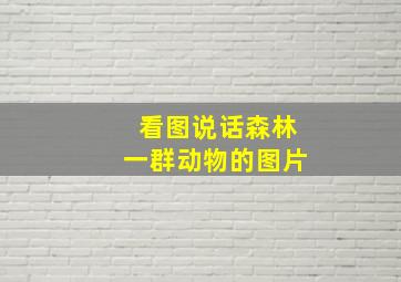 看图说话森林一群动物的图片