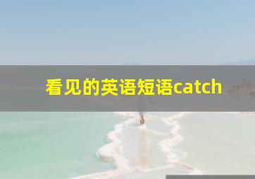 看见的英语短语catch