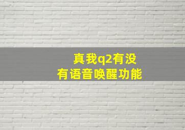 真我q2有没有语音唤醒功能