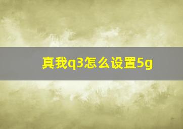 真我q3怎么设置5g