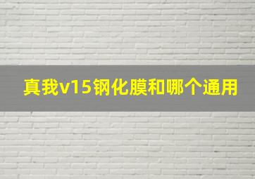 真我v15钢化膜和哪个通用