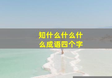 知什么什么什么成语四个字