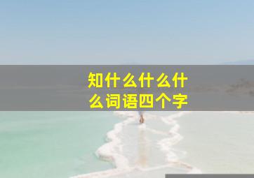 知什么什么什么词语四个字