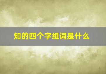 知的四个字组词是什么