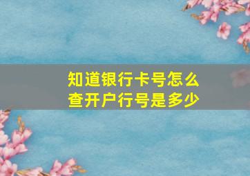 知道银行卡号怎么查开户行号是多少