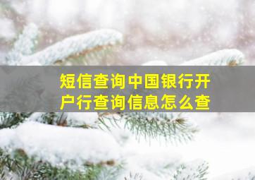 短信查询中国银行开户行查询信息怎么查