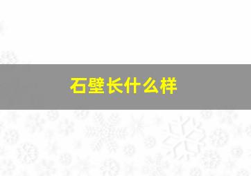 石壁长什么样