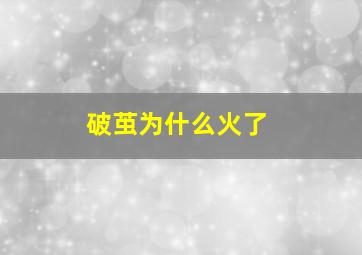 破茧为什么火了