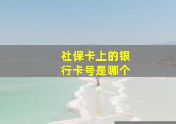 社保卡上的银行卡号是哪个