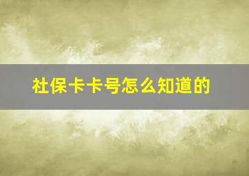 社保卡卡号怎么知道的