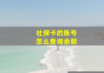 社保卡的账号怎么查询余额