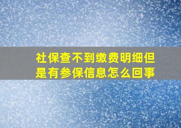 社保查不到缴费明细但是有参保信息怎么回事