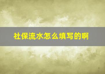 社保流水怎么填写的啊