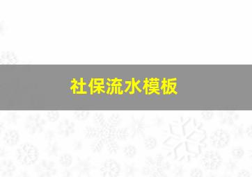 社保流水模板