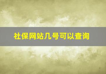 社保网站几号可以查询