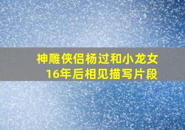 神雕侠侣杨过和小龙女16年后相见描写片段