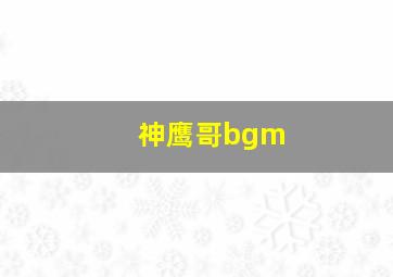 神鹰哥bgm