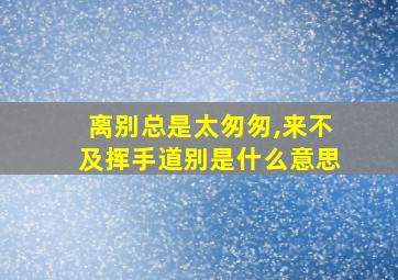 离别总是太匆匆,来不及挥手道别是什么意思