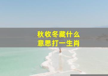 秋收冬藏什么意思打一生肖