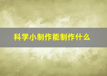 科学小制作能制作什么