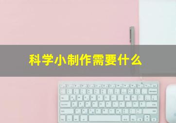 科学小制作需要什么