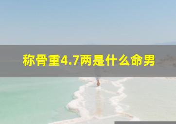 称骨重4.7两是什么命男