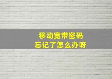 移动宽带密码忘记了怎么办呀