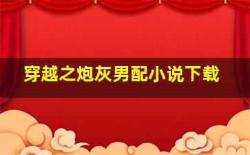 穿越之炮灰男配小说下载