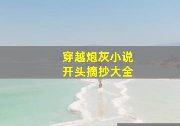 穿越炮灰小说开头摘抄大全