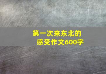 第一次来东北的感受作文600字