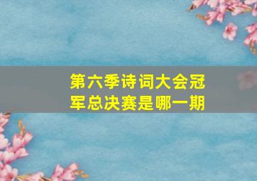 第六季诗词大会冠军总决赛是哪一期