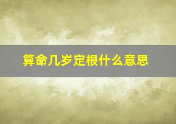 算命几岁定根什么意思