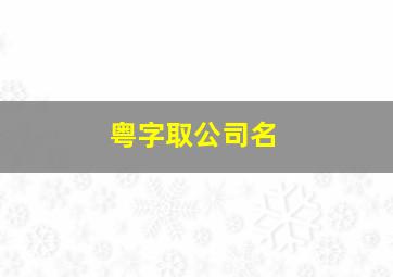 粤字取公司名