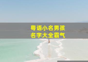 粤语小名男孩名字大全霸气