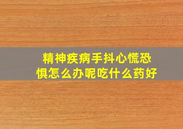 精神疾病手抖心慌恐惧怎么办呢吃什么药好