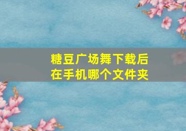 糖豆广场舞下载后在手机哪个文件夹