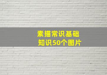 素描常识基础知识50个图片