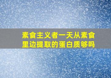 素食主义者一天从素食里边提取的蛋白质够吗