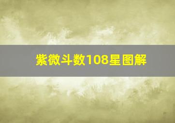 紫微斗数108星图解