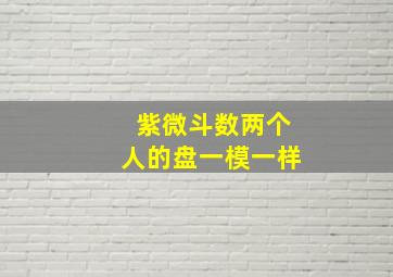 紫微斗数两个人的盘一模一样