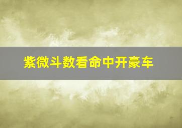 紫微斗数看命中开豪车