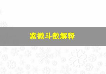 紫微斗数解释