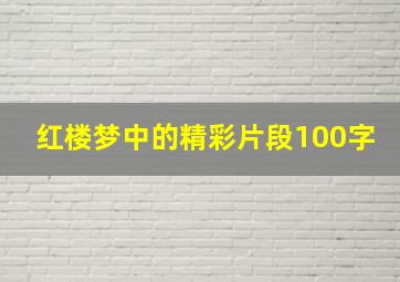 红楼梦中的精彩片段100字