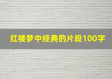 红楼梦中经典的片段100字